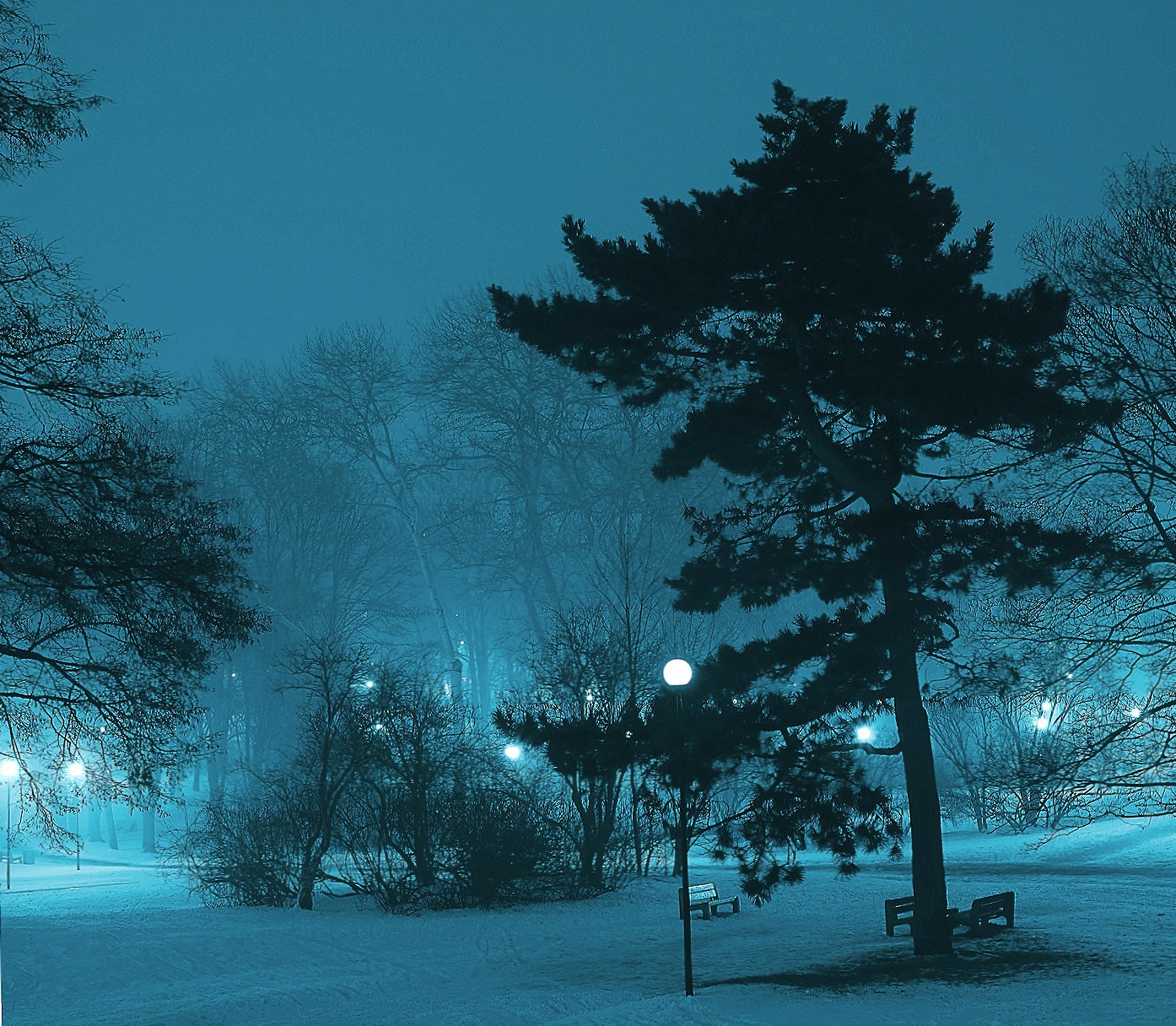 Foggy Night at 640 x 960 iPhone 4 size wallpapers HD quality