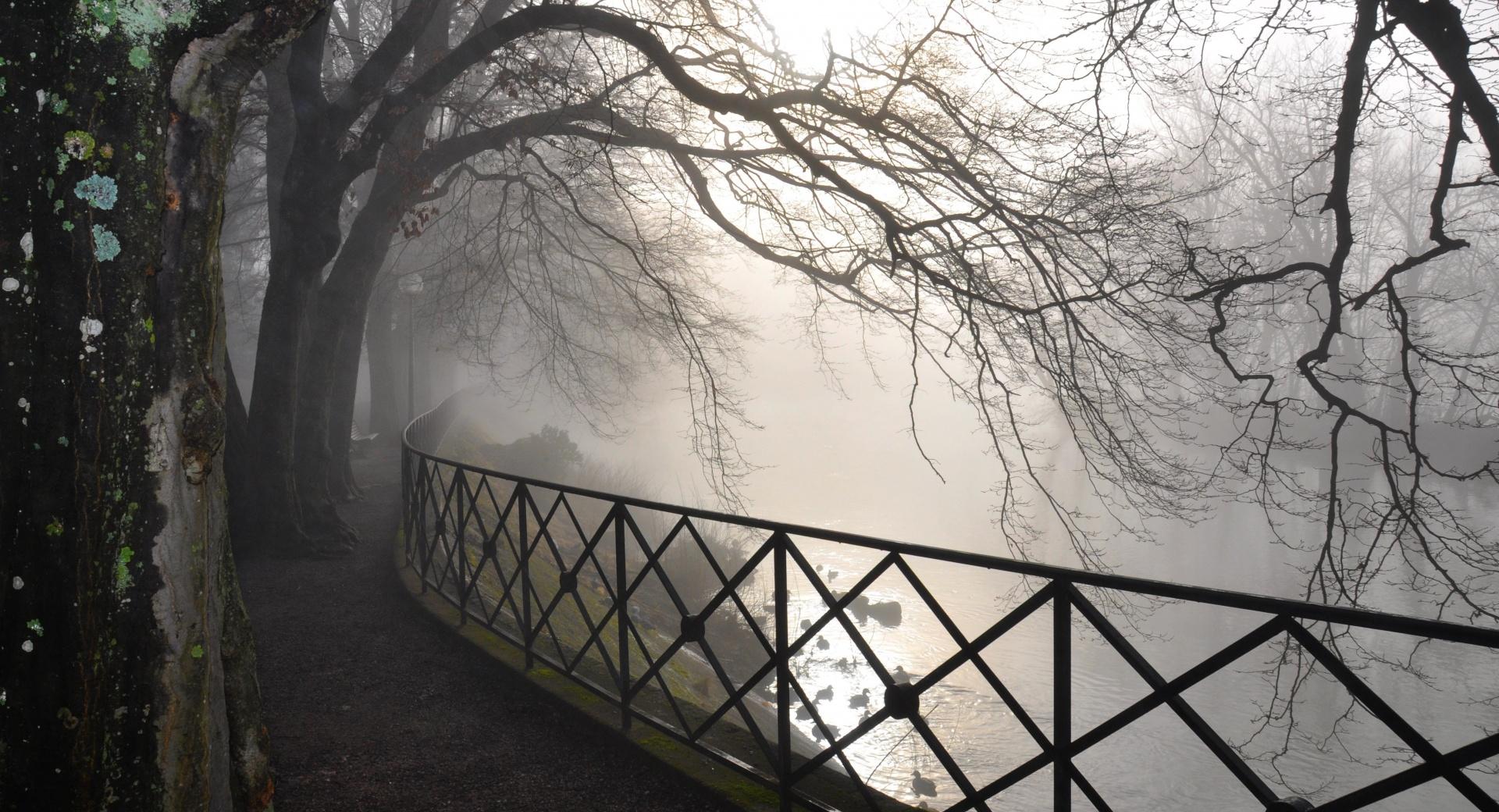 Foggy River wallpapers HD quality