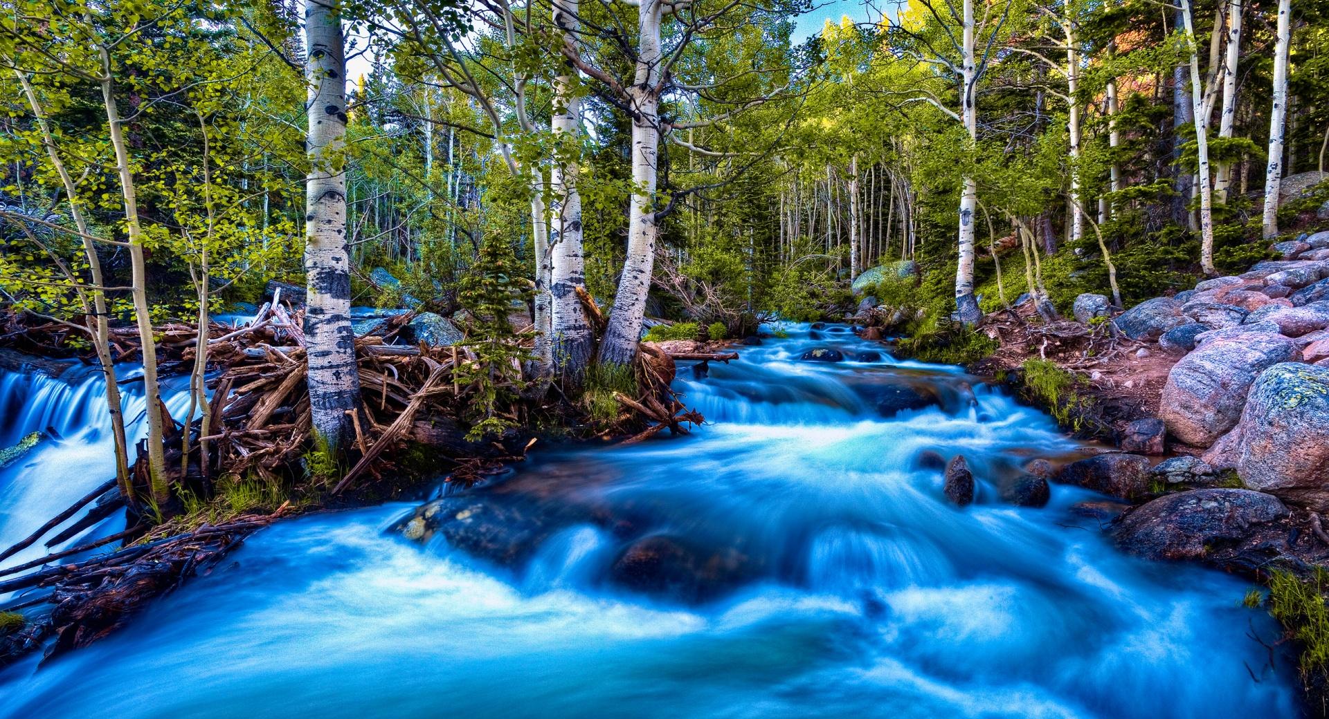Forest Birch Stream, Long Exposure at 1280 x 960 size wallpapers HD quality
