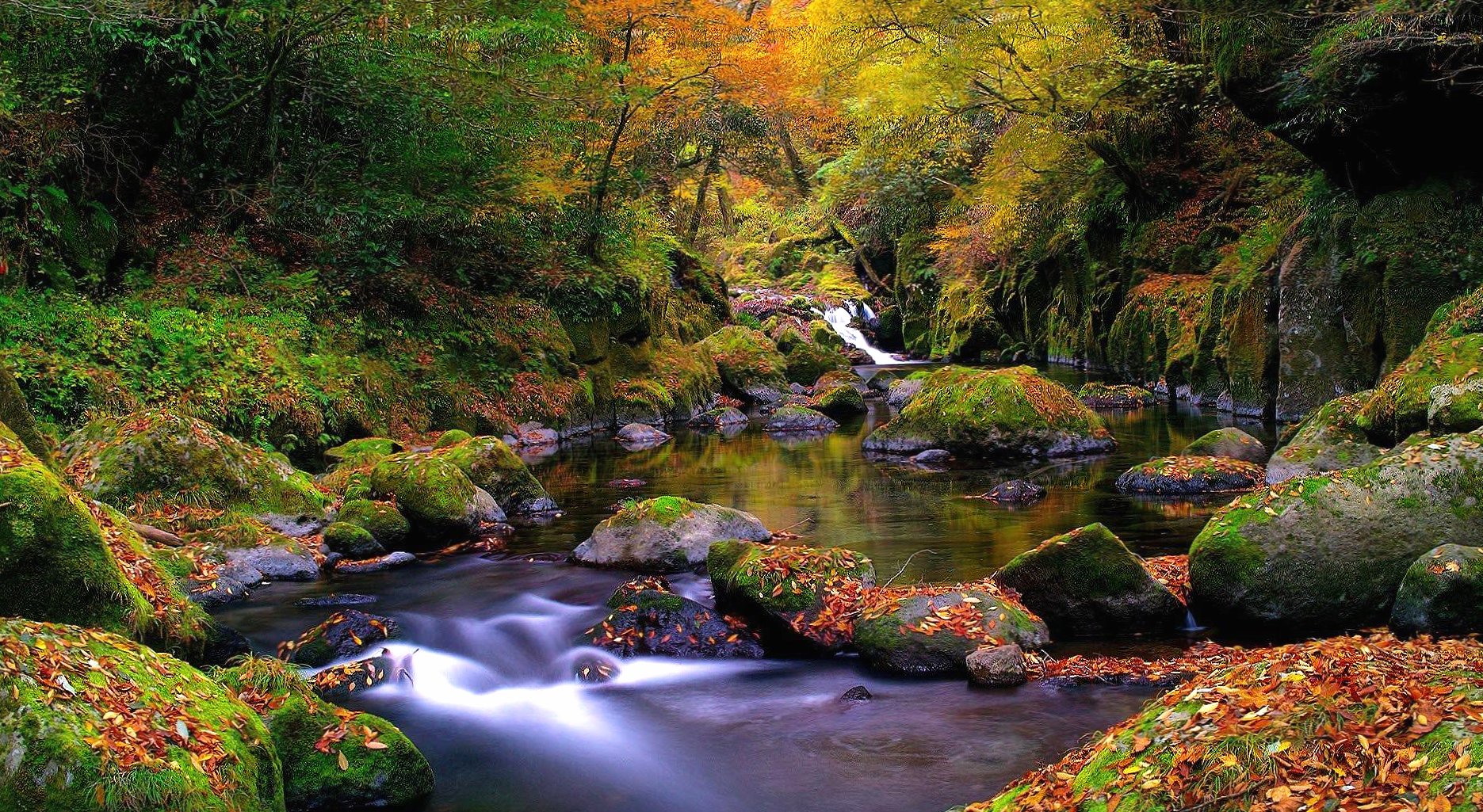 Forest river autumn at 1152 x 864 size wallpapers HD quality