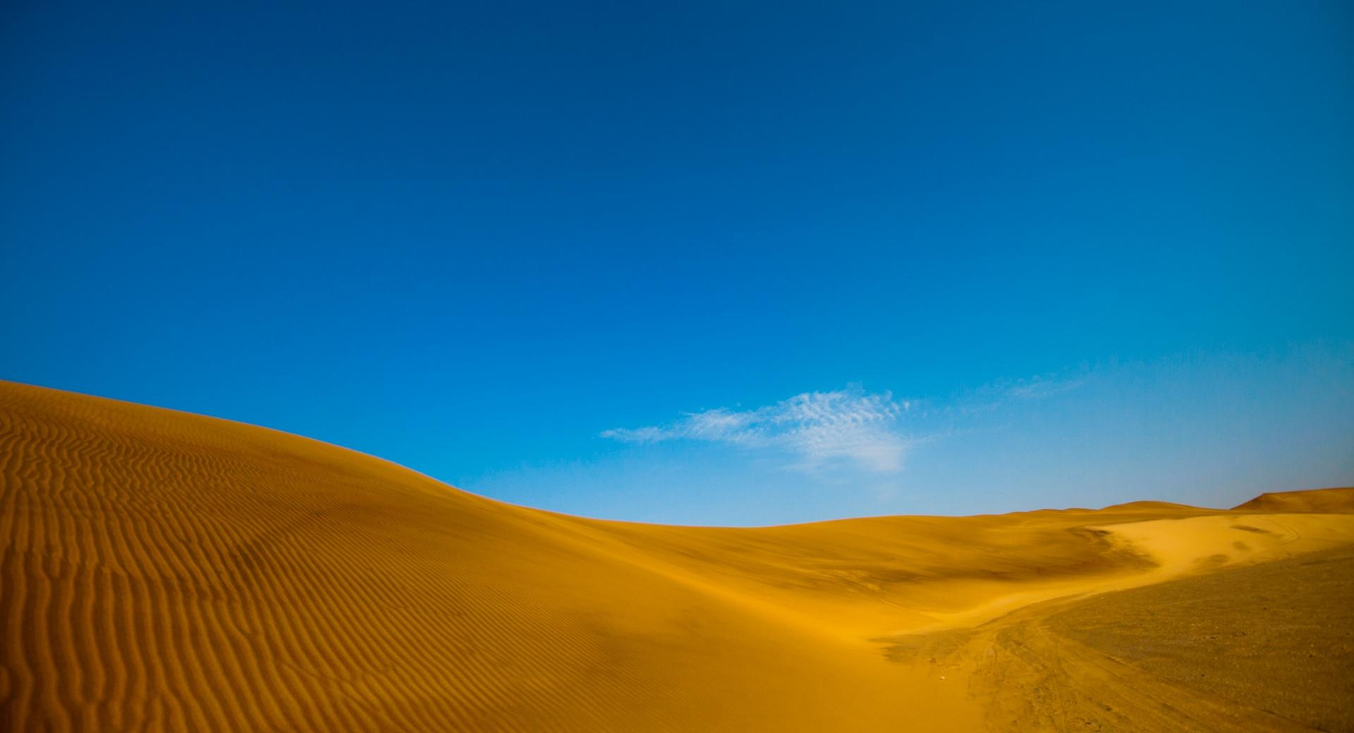 Golden Desert at 2048 x 2048 iPad size wallpapers HD quality
