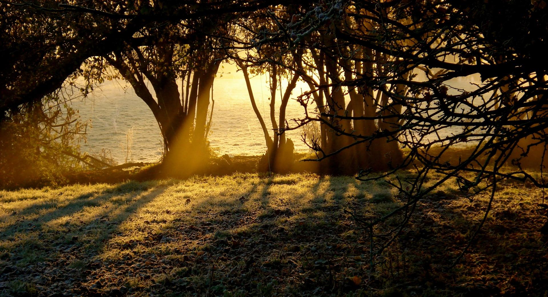 Golden Sunlight at 1152 x 864 size wallpapers HD quality