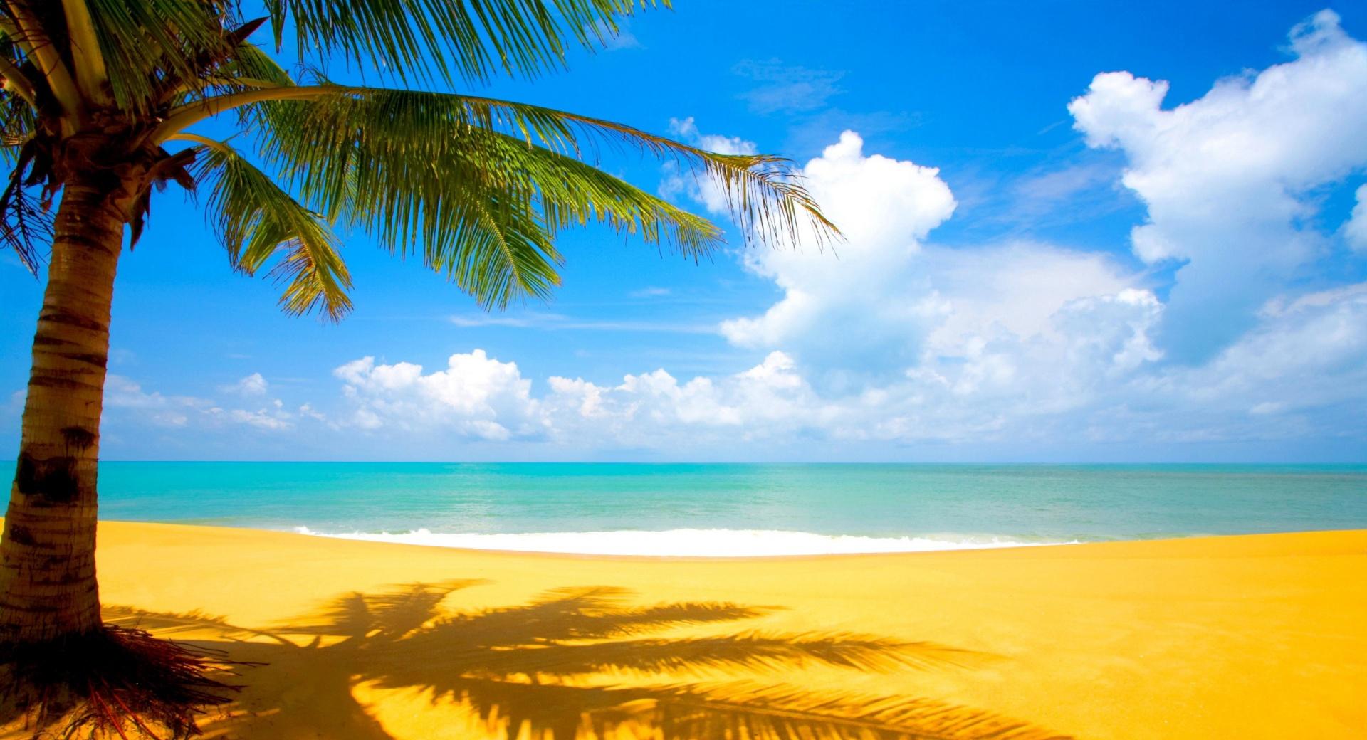 Gorgeous Beach In Summertime at 320 x 480 iPhone size wallpapers HD quality