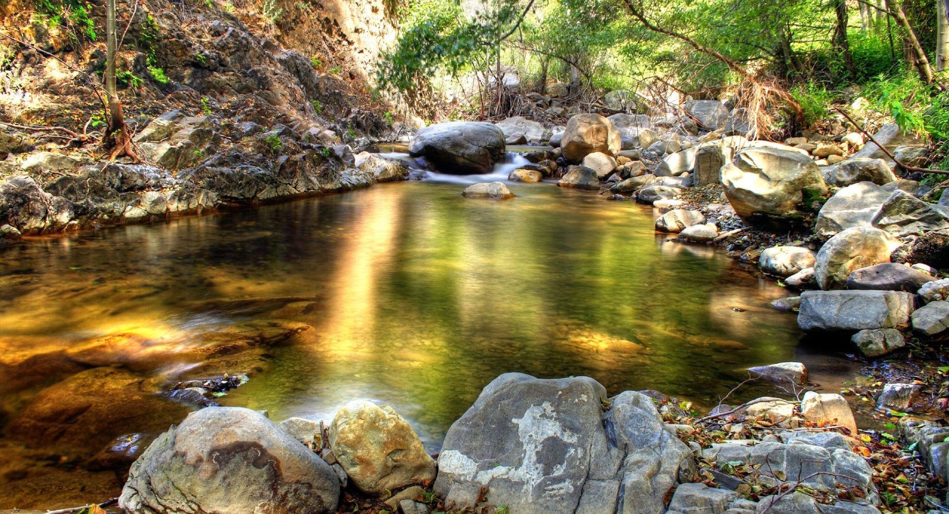 HDR Forest Creek at 640 x 1136 iPhone 5 size wallpapers HD quality