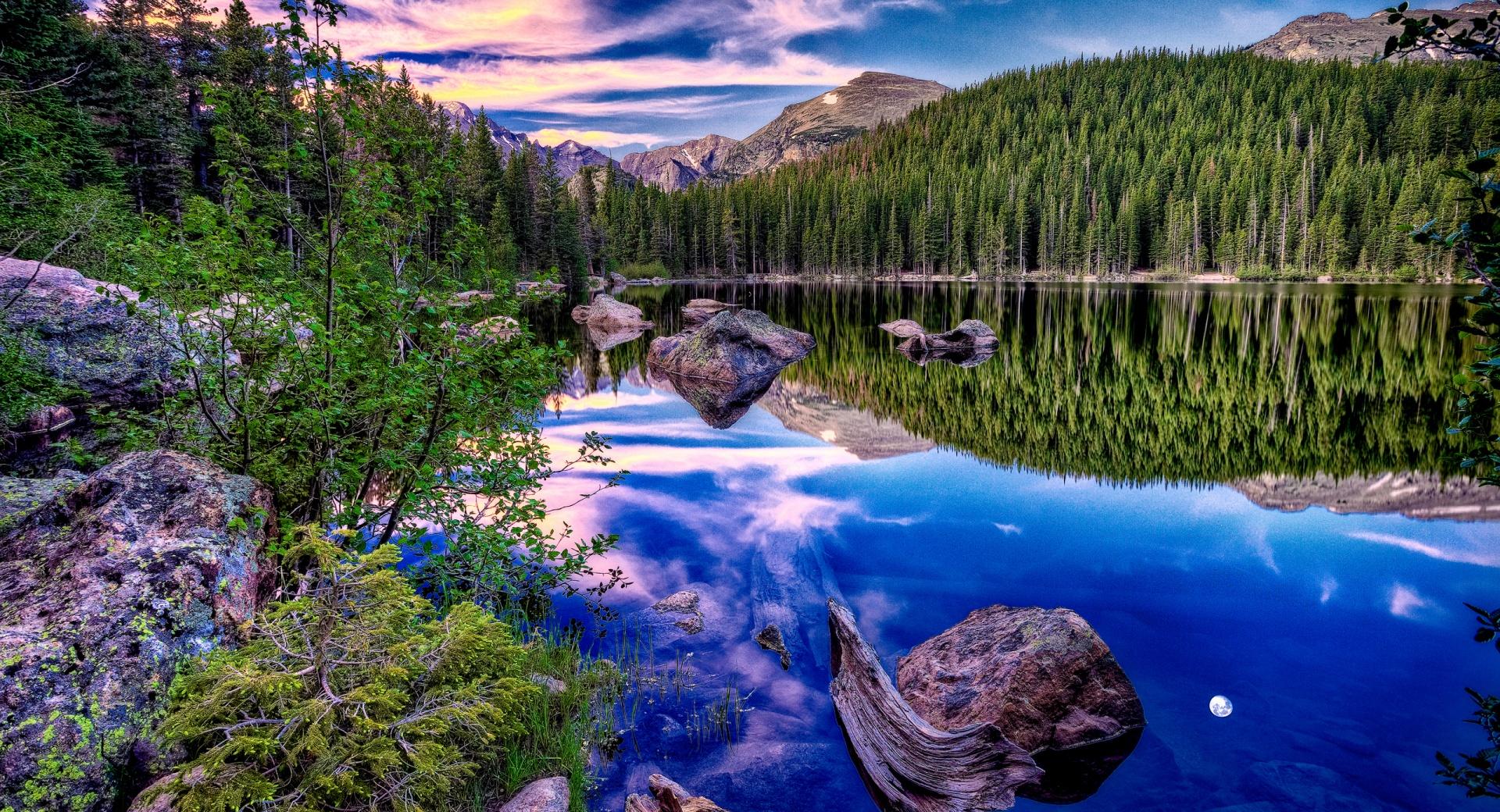 HDR Forest Reflection at 1600 x 1200 size wallpapers HD quality