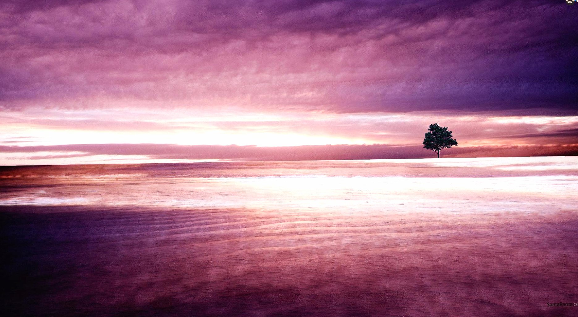 Landscape violet with tree at 1280 x 960 size wallpapers HD quality