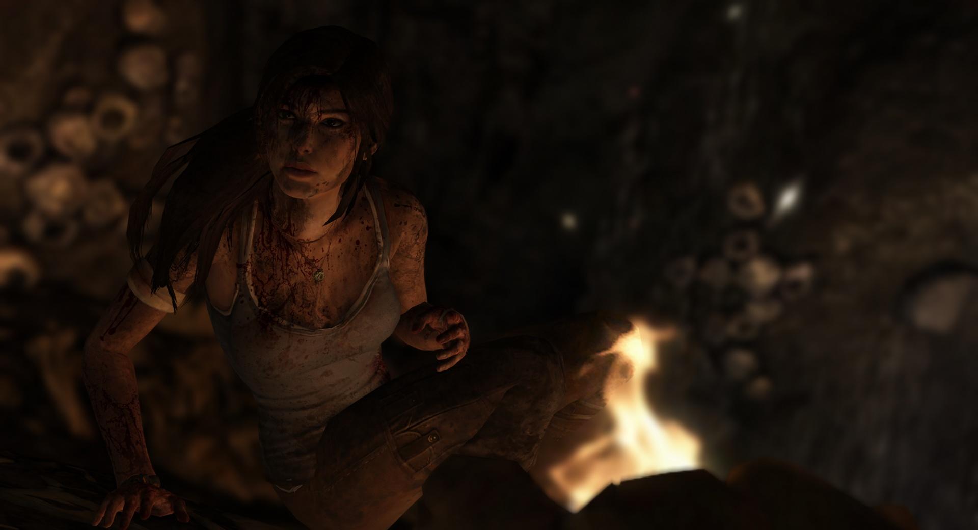 Lara Croft Survivor at 1152 x 864 size wallpapers HD quality