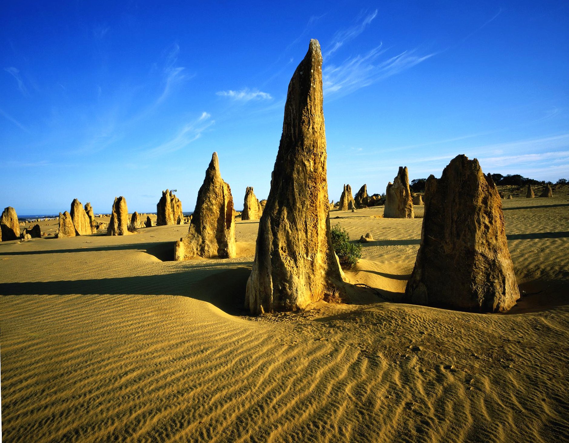 Limestone pinacles desert at 640 x 960 iPhone 4 size wallpapers HD quality