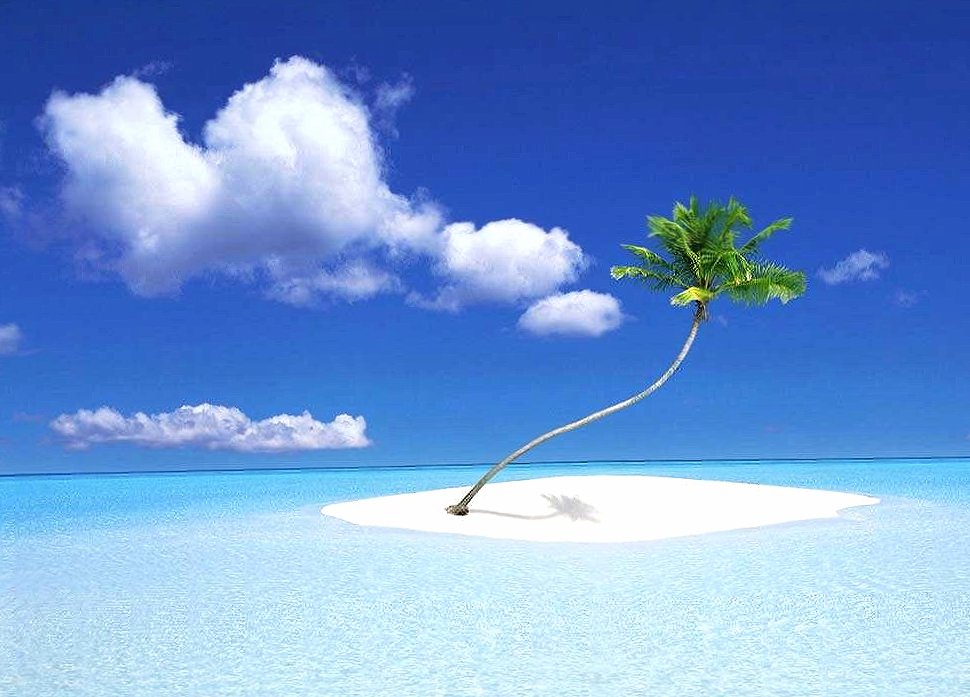 Mini island with palm wallpapers HD quality