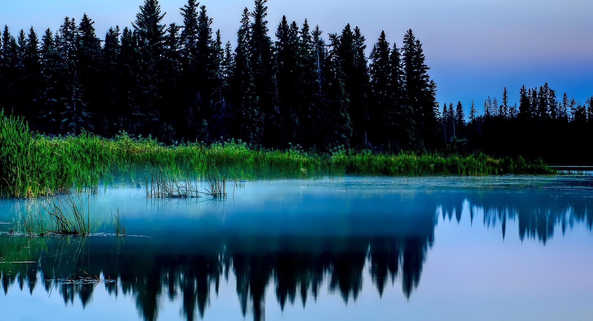 Misty Lake And Dark Forest at 750 x 1334 iPhone 6 size wallpapers HD quality