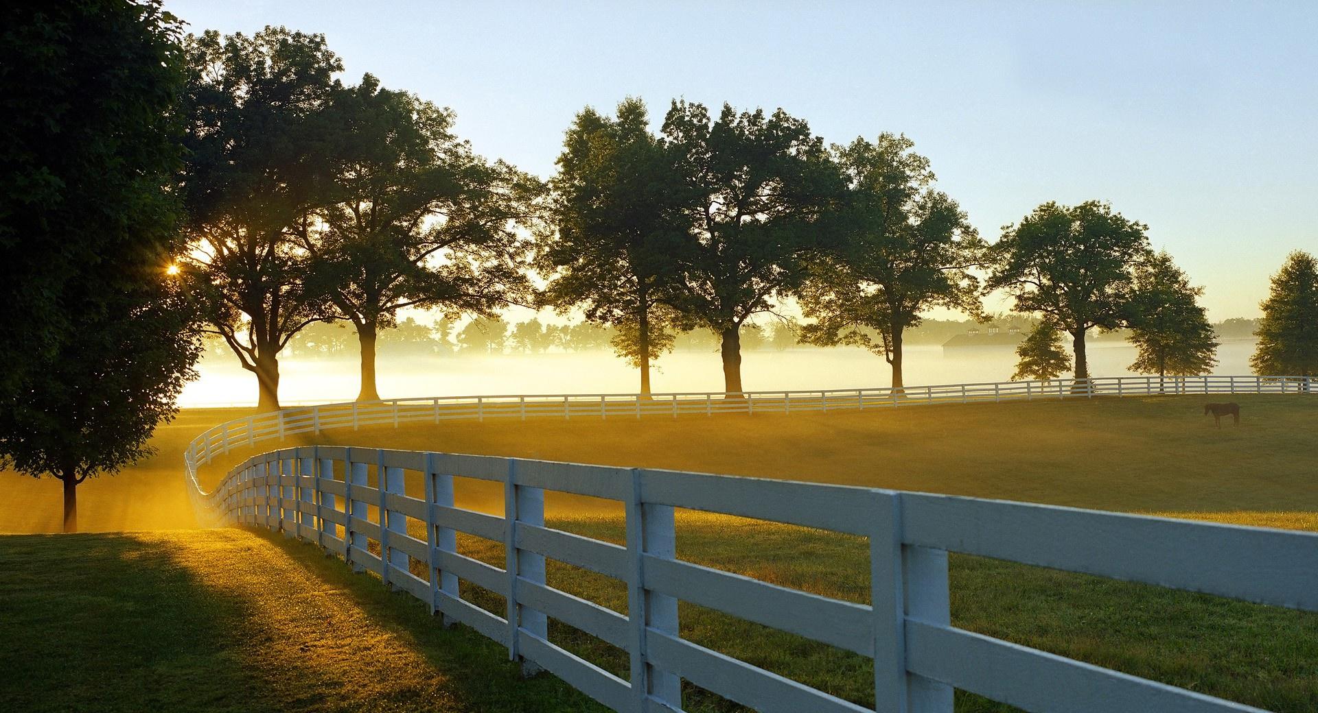 Morning at a Ranch at 640 x 1136 iPhone 5 size wallpapers HD quality