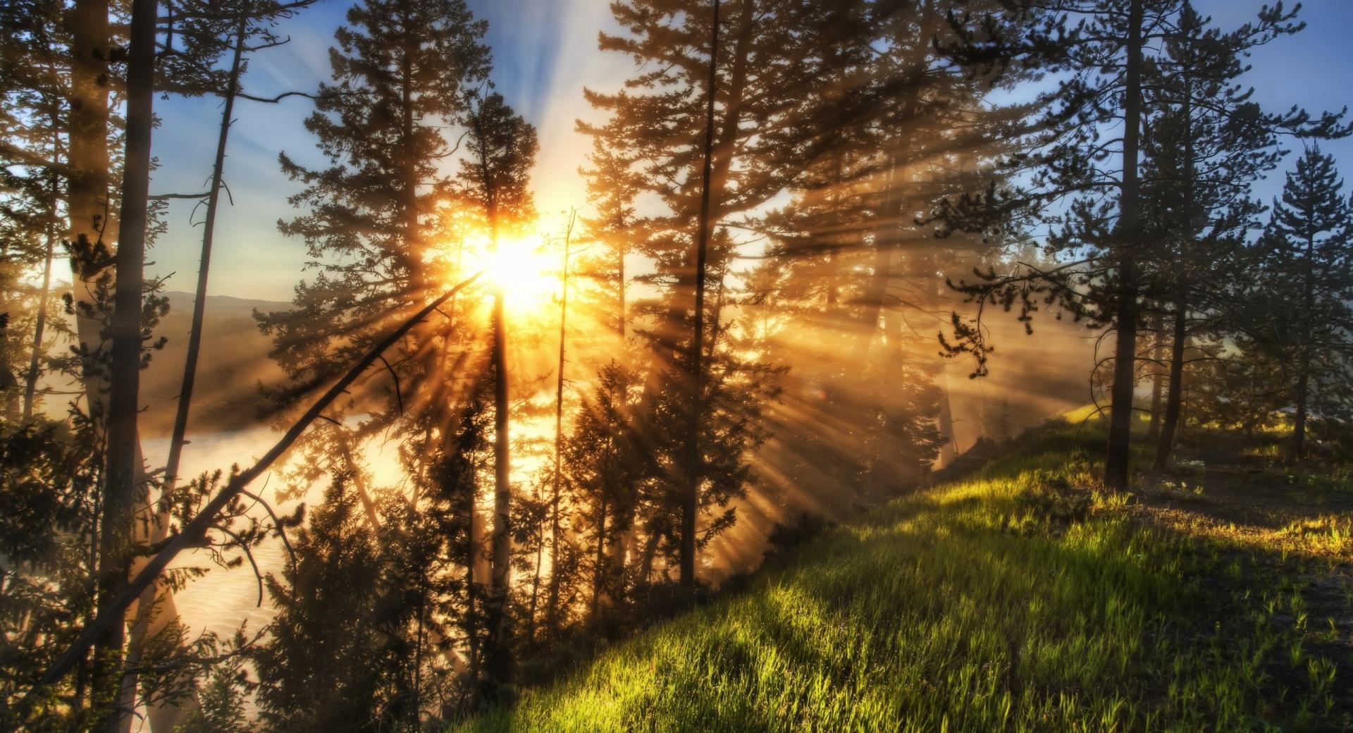 Morning Sunbeams at 1280 x 960 size wallpapers HD quality