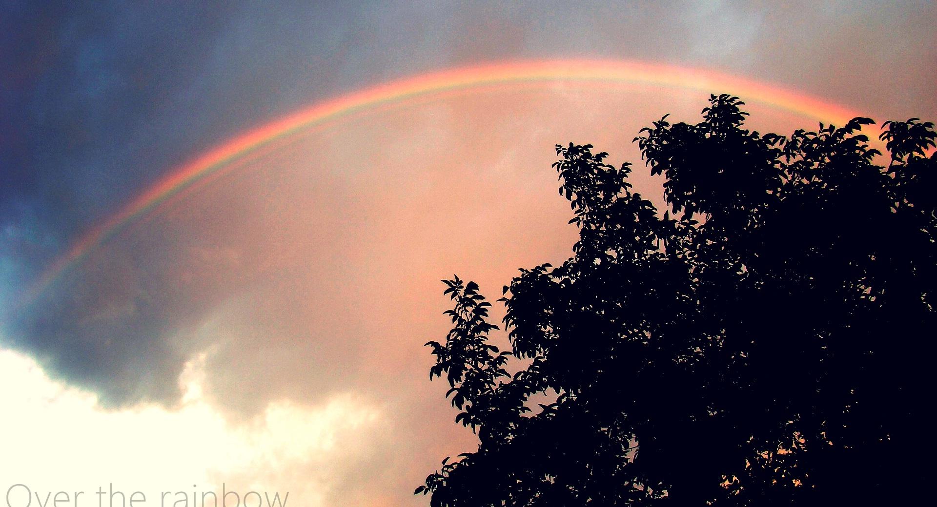 Over The Rainbow at 1152 x 864 size wallpapers HD quality