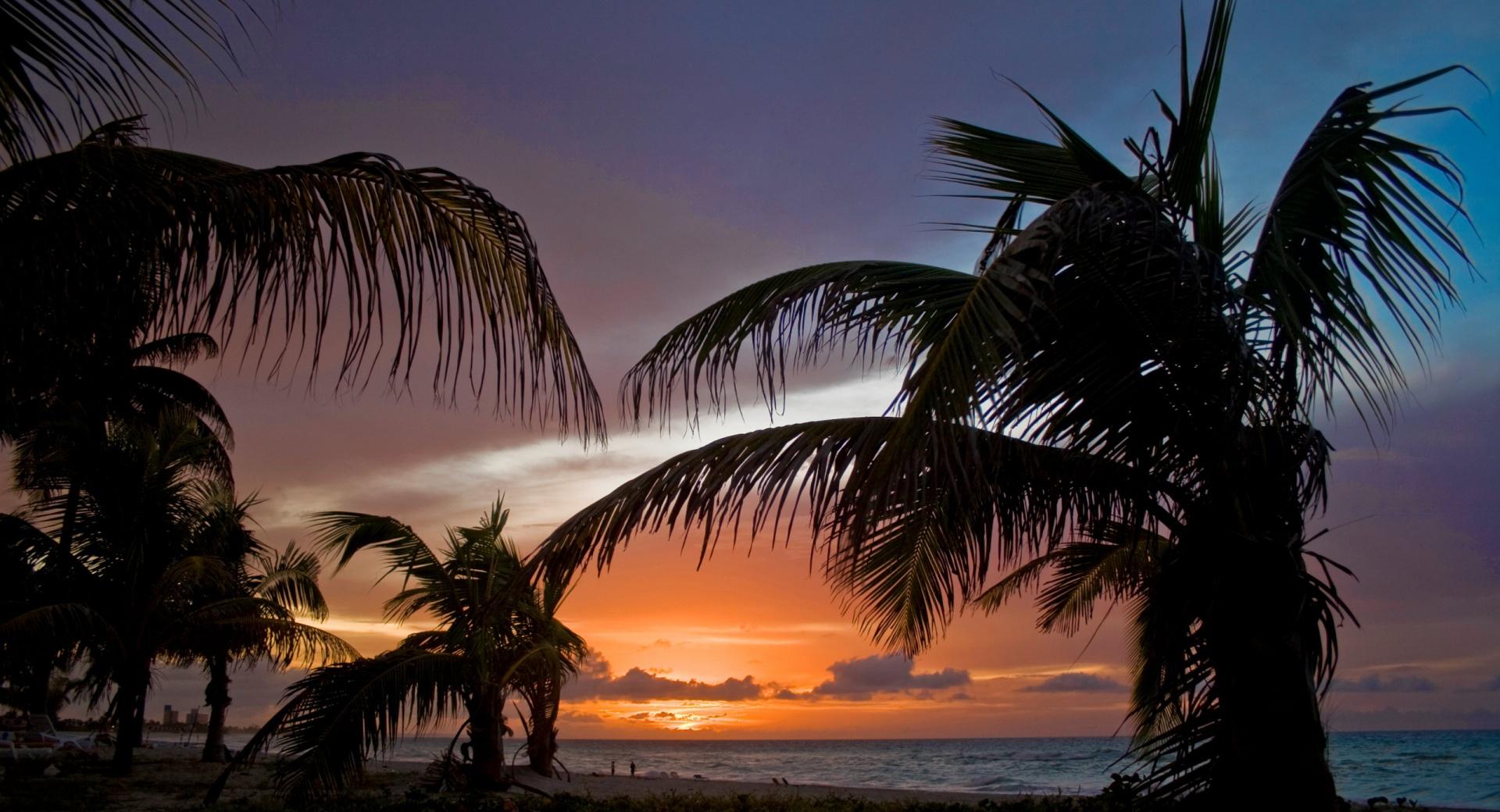 Palm Trees On The Beach Sunset at 1600 x 1200 size wallpapers HD quality