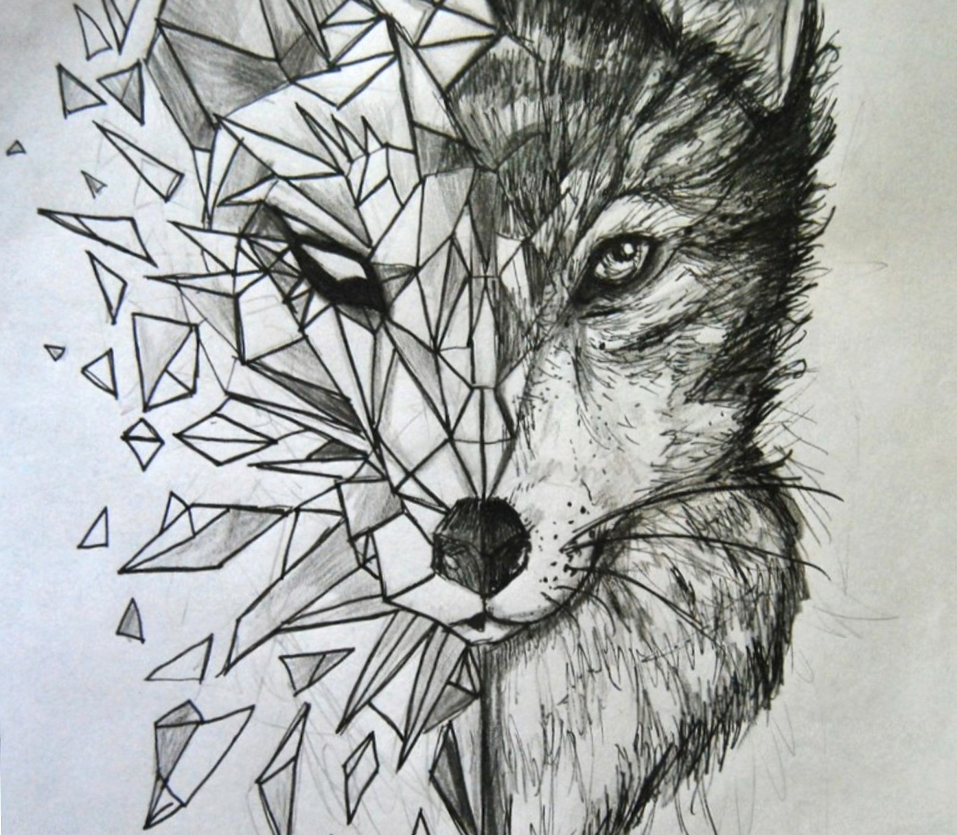 Polygon Wolf at 640 x 960 iPhone 4 size wallpapers HD quality