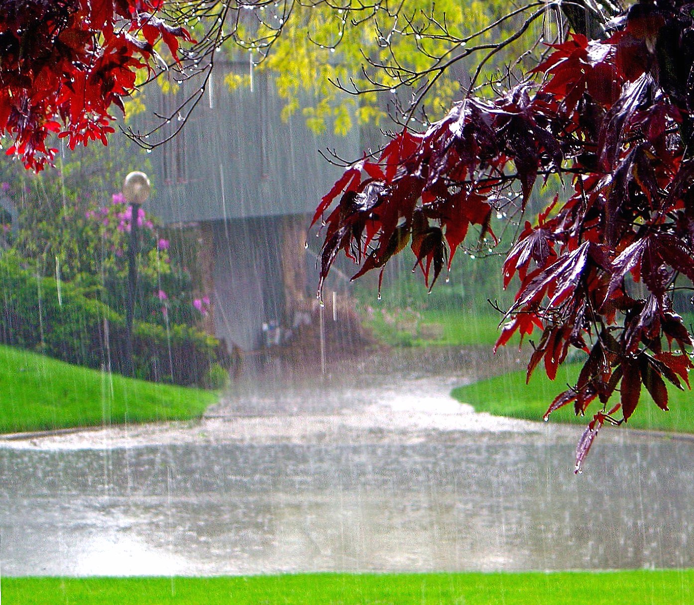 rain----------- at 640 x 1136 iPhone 5 size wallpapers HD quality
