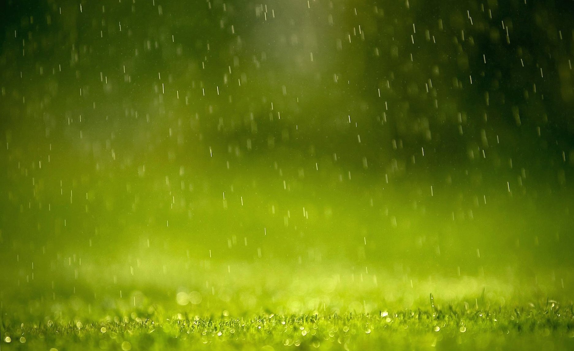 Rain in grass at 640 x 960 iPhone 4 size wallpapers HD quality
