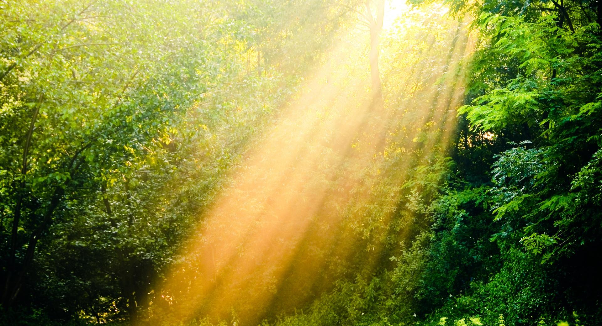 Rays Of Light at 1280 x 960 size wallpapers HD quality
