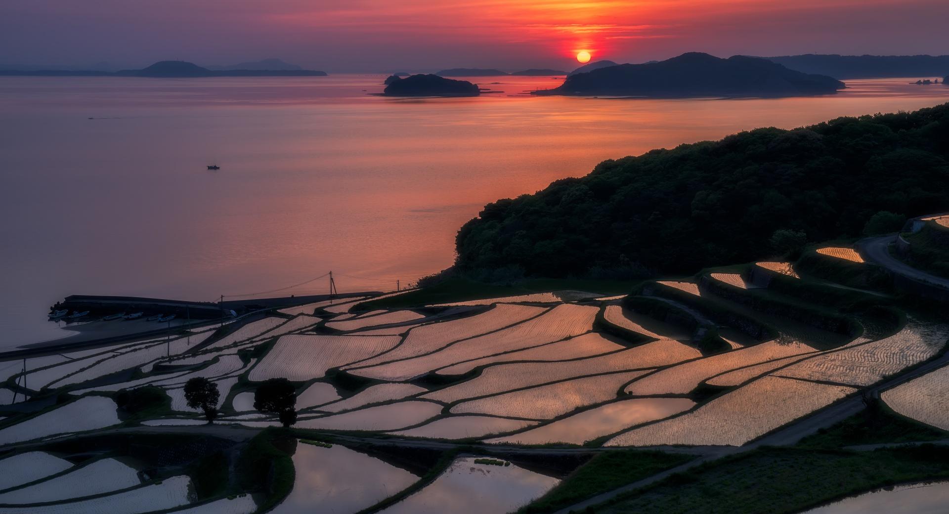 Rice Terraces at Sunset at 640 x 1136 iPhone 5 size wallpapers HD quality