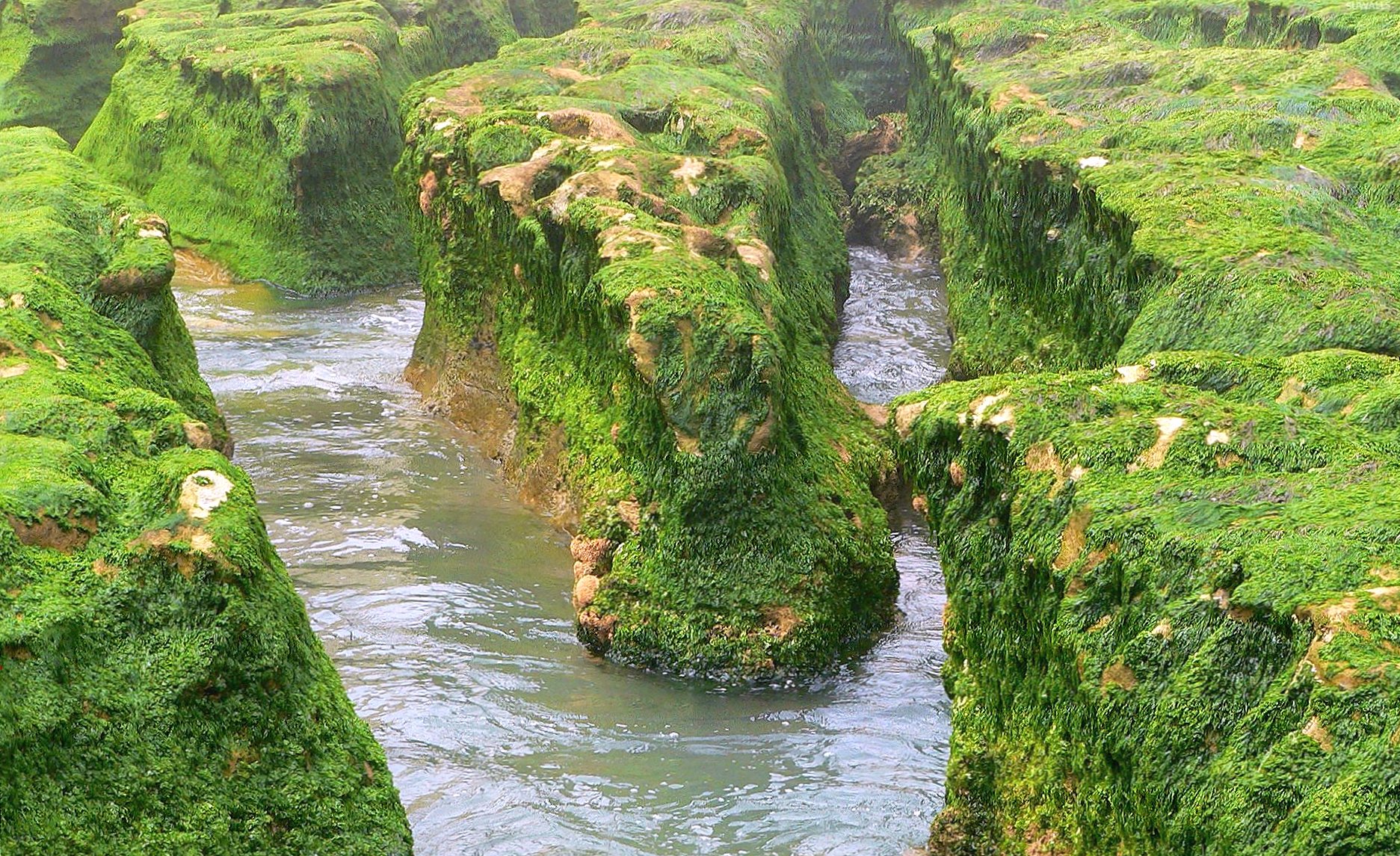 River flowing through the mossy cliffs wallpapers HD quality