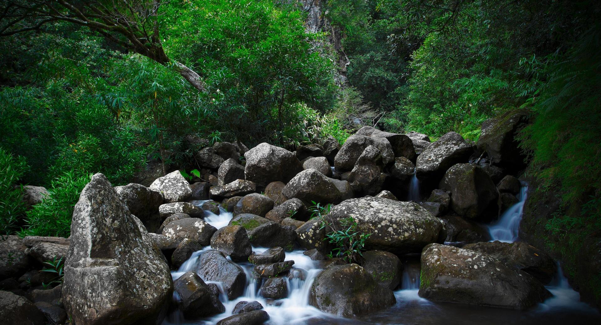 Rocky Forest Creek at 1152 x 864 size wallpapers HD quality