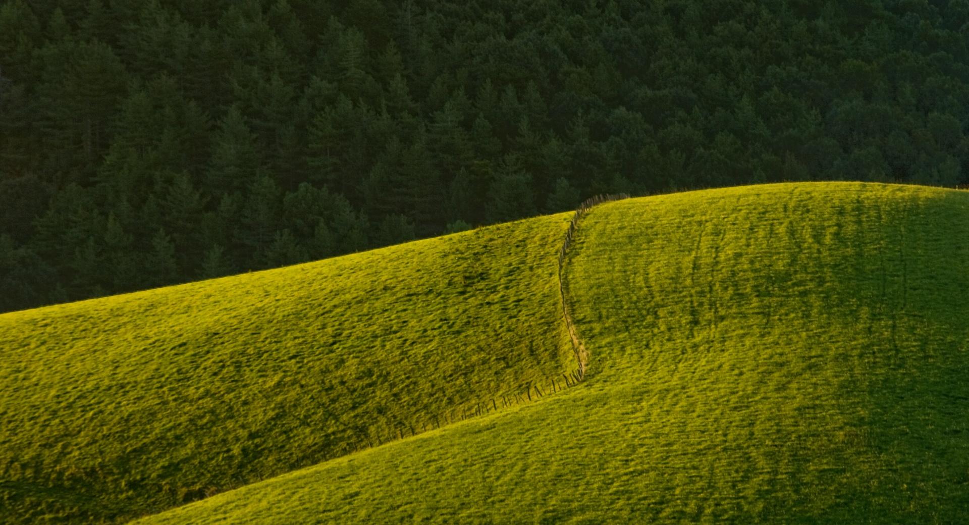 Rolling Green Hills at 640 x 1136 iPhone 5 size wallpapers HD quality