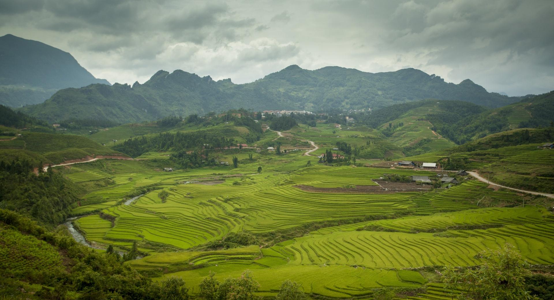 Sapa Rice Paddies at 320 x 480 iPhone size wallpapers HD quality