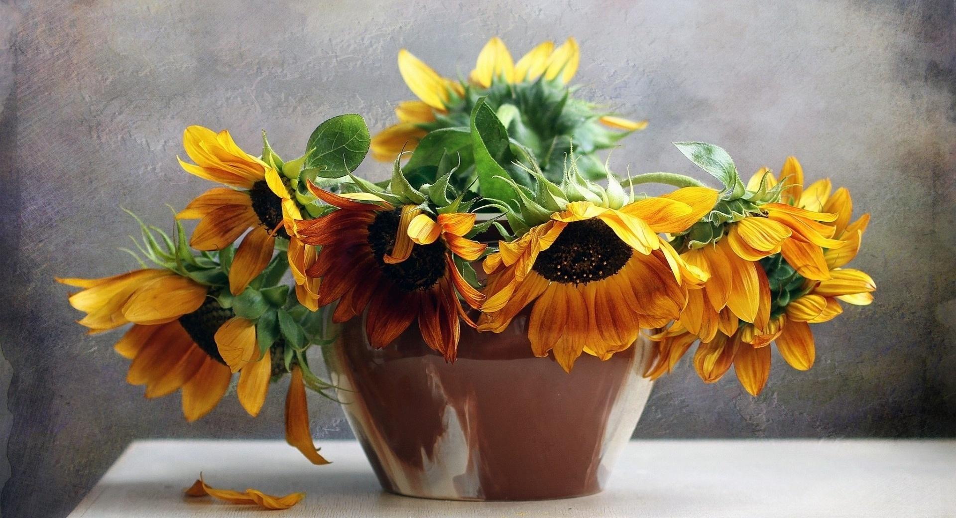 Sunflowers On The Table at 1152 x 864 size wallpapers HD quality