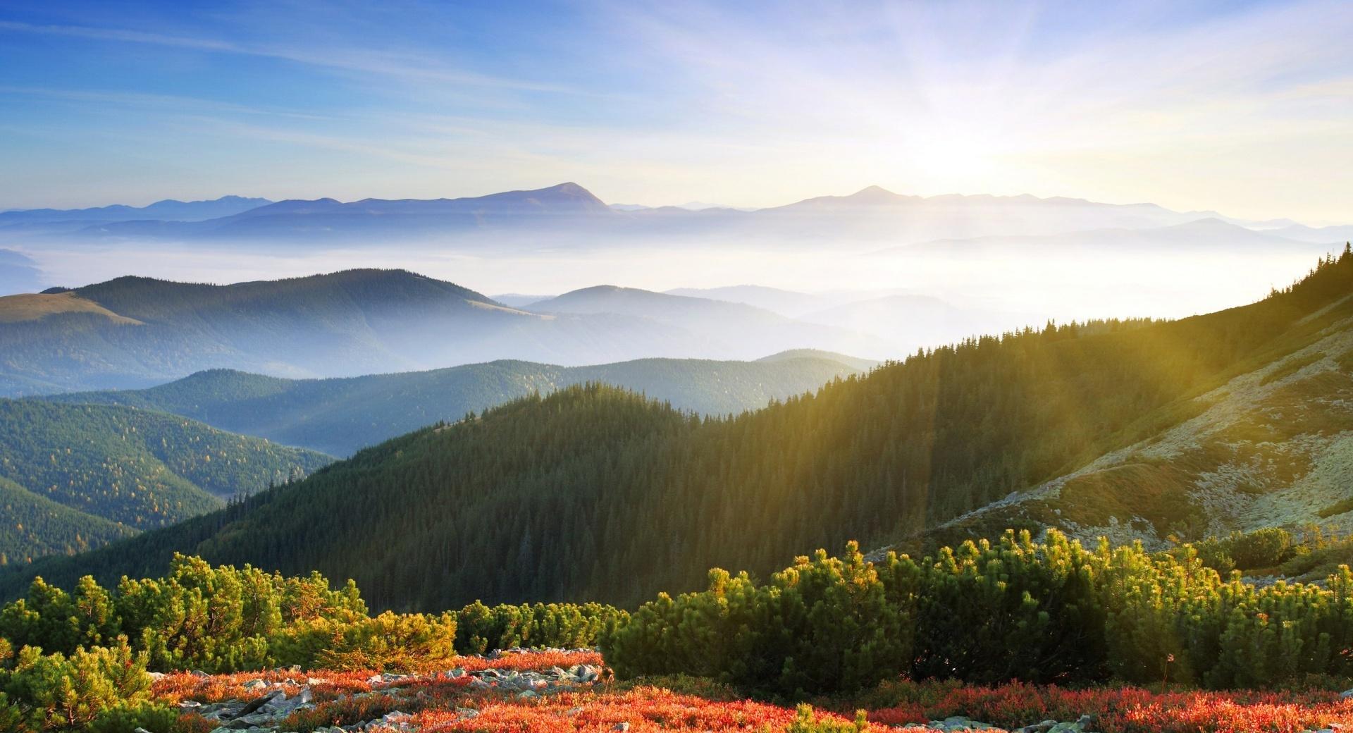 Sunrise Forest Mountains at 1600 x 1200 size wallpapers HD quality