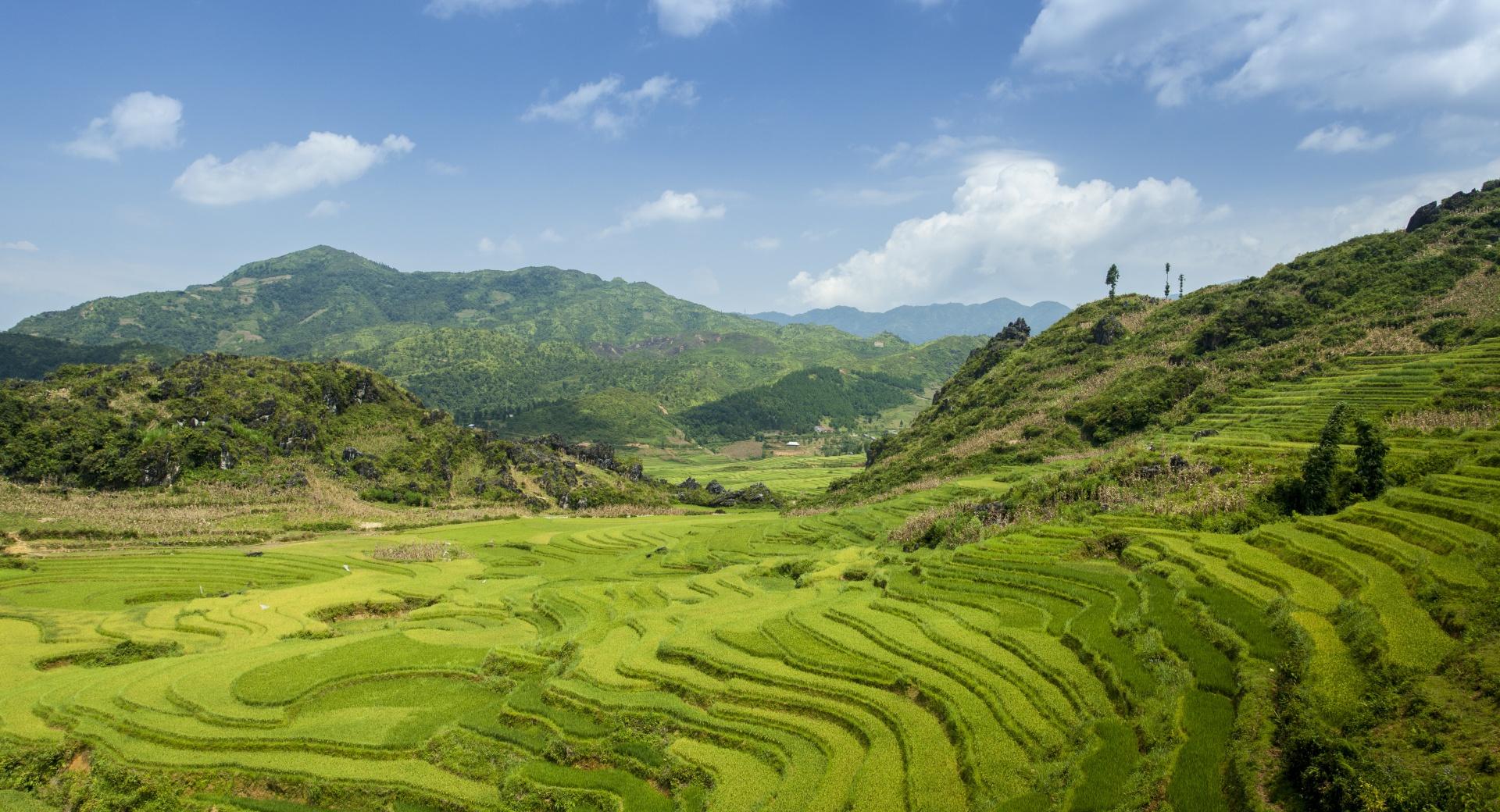 Terraced fields in SaPa at 640 x 960 iPhone 4 size wallpapers HD quality