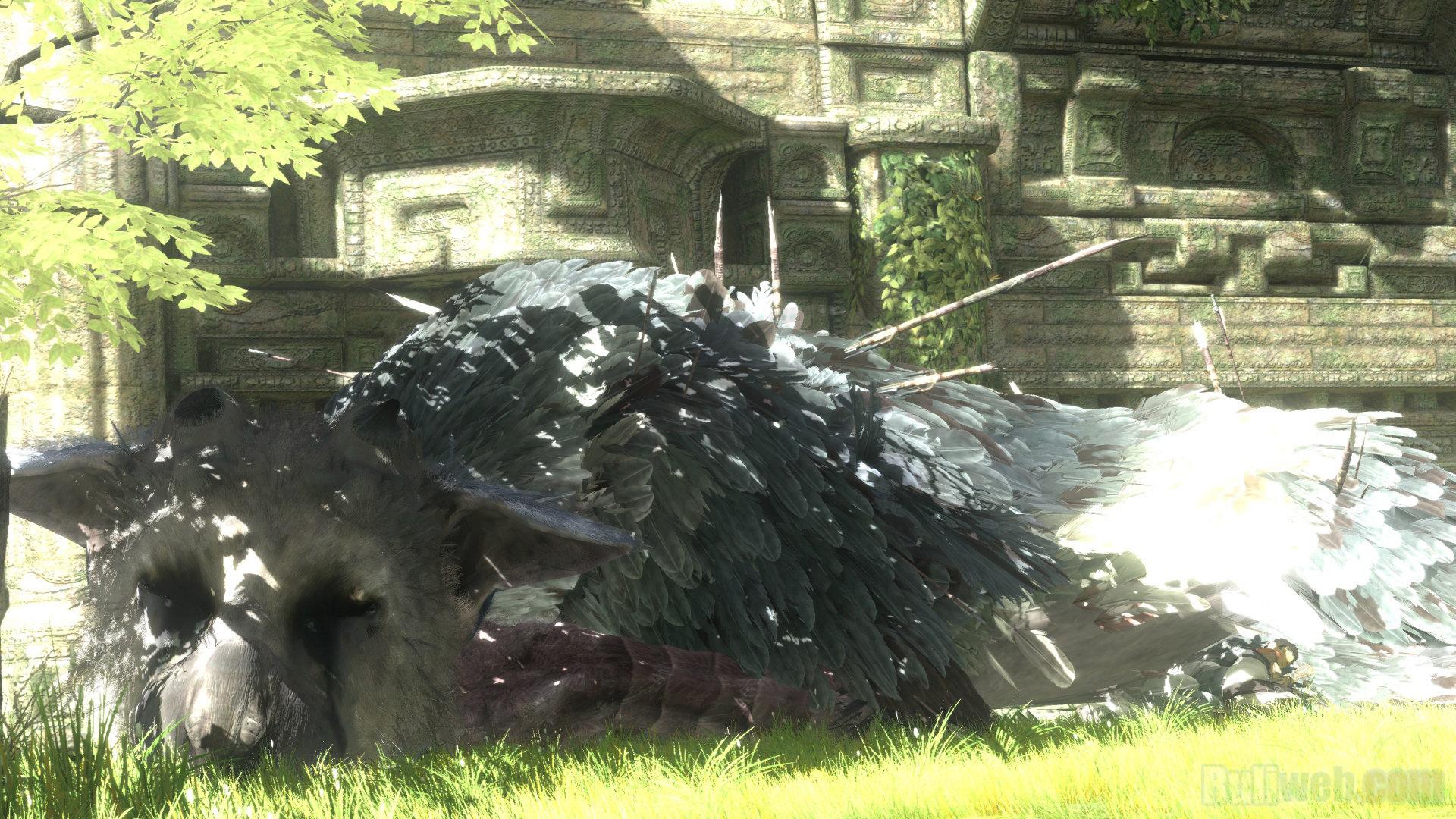The Last Guardian at 1024 x 1024 iPad size wallpapers HD quality