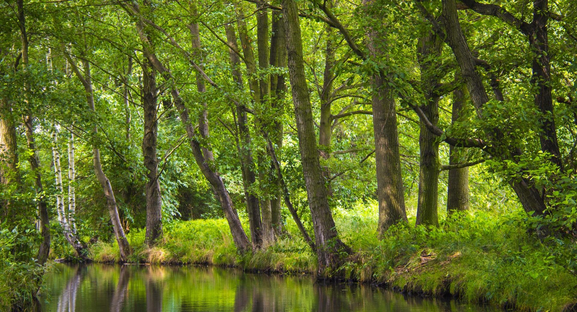 The Spreewald Tranquility at 640 x 960 iPhone 4 size wallpapers HD quality
