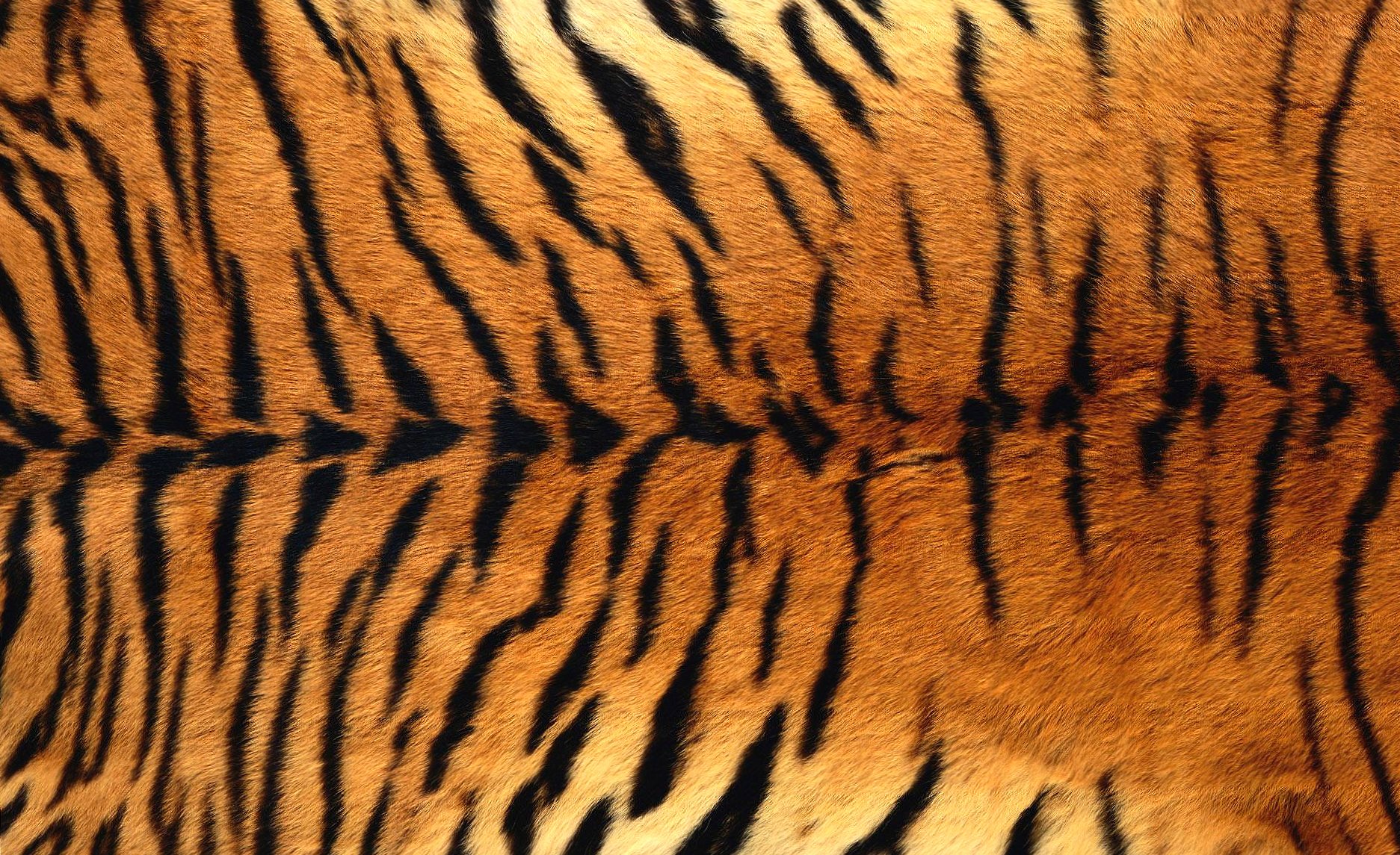 Tiger skin at 320 x 480 iPhone size wallpapers HD quality