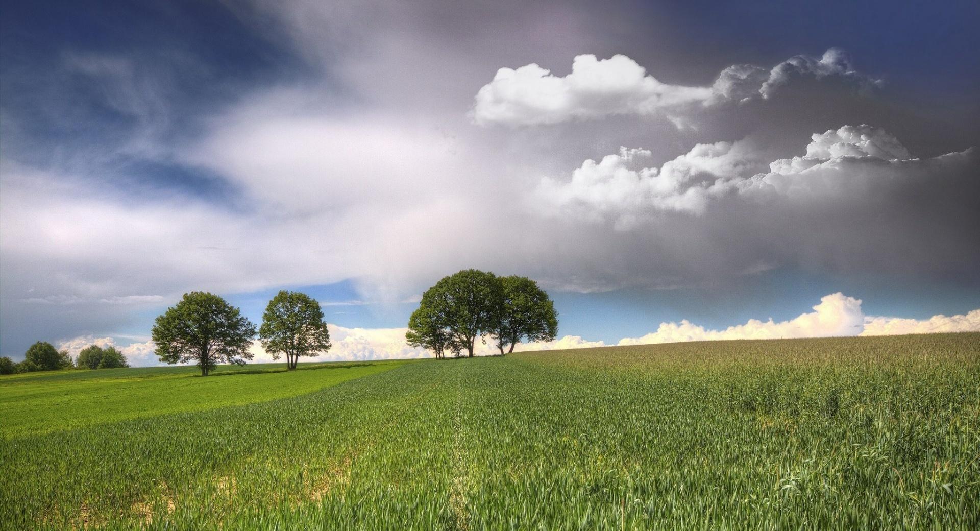 Trees On Fields Clouds wallpapers HD quality