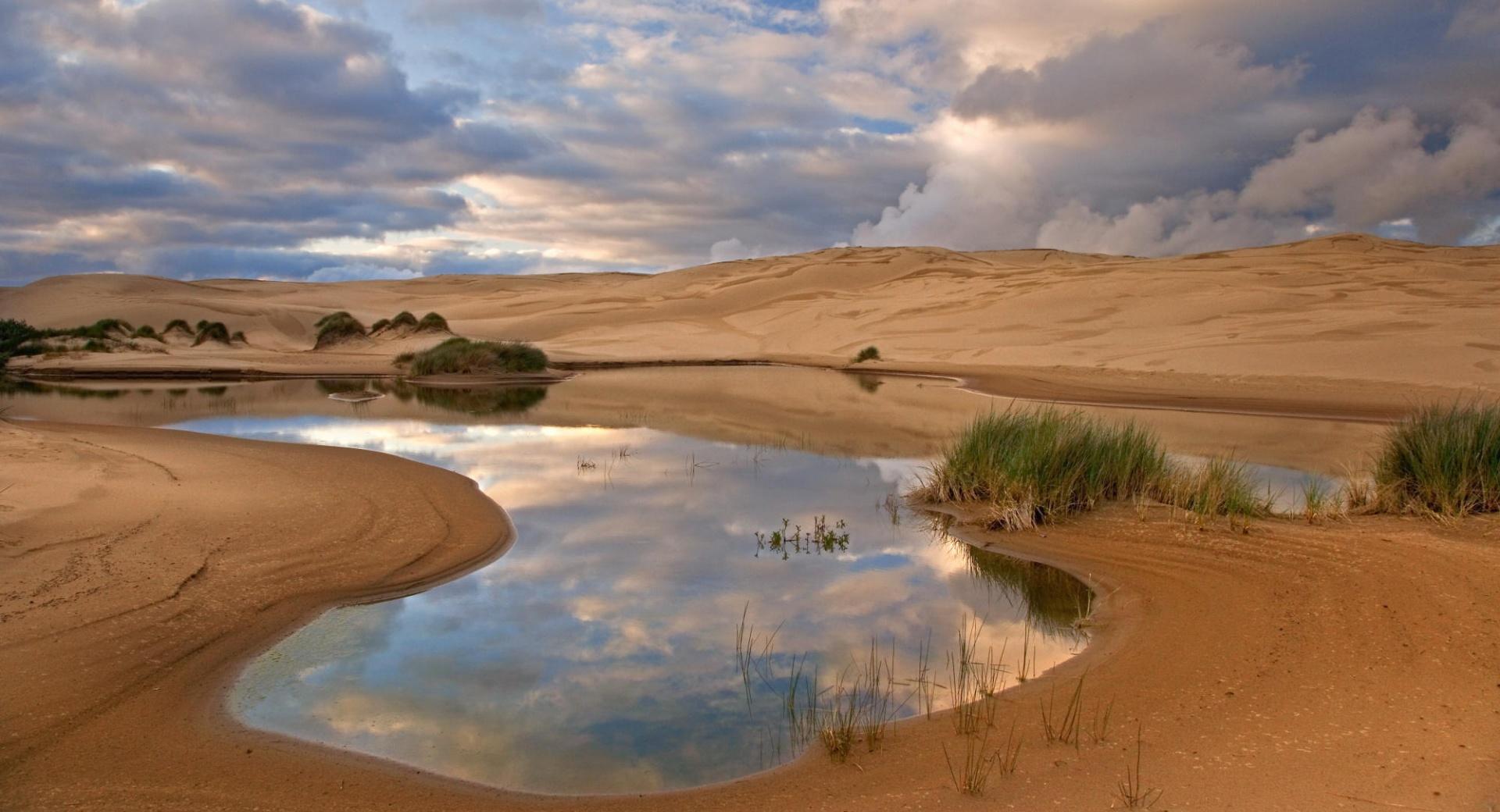 Umpqua Dunes Siuslaw National Forest Oregon at 640 x 1136 iPhone 5 size wallpapers HD quality