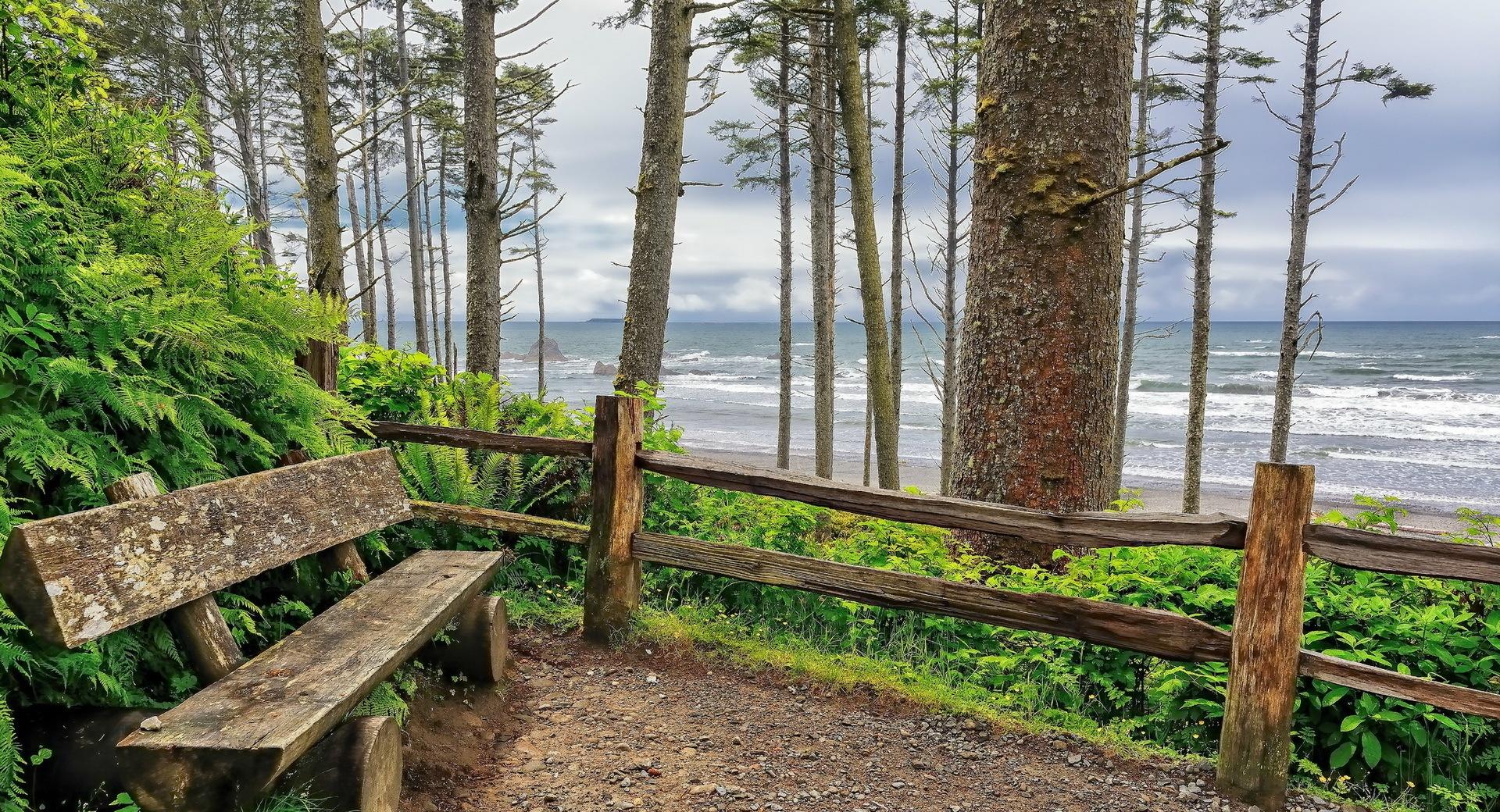 Washington Bench On Coast at 640 x 1136 iPhone 5 size wallpapers HD quality