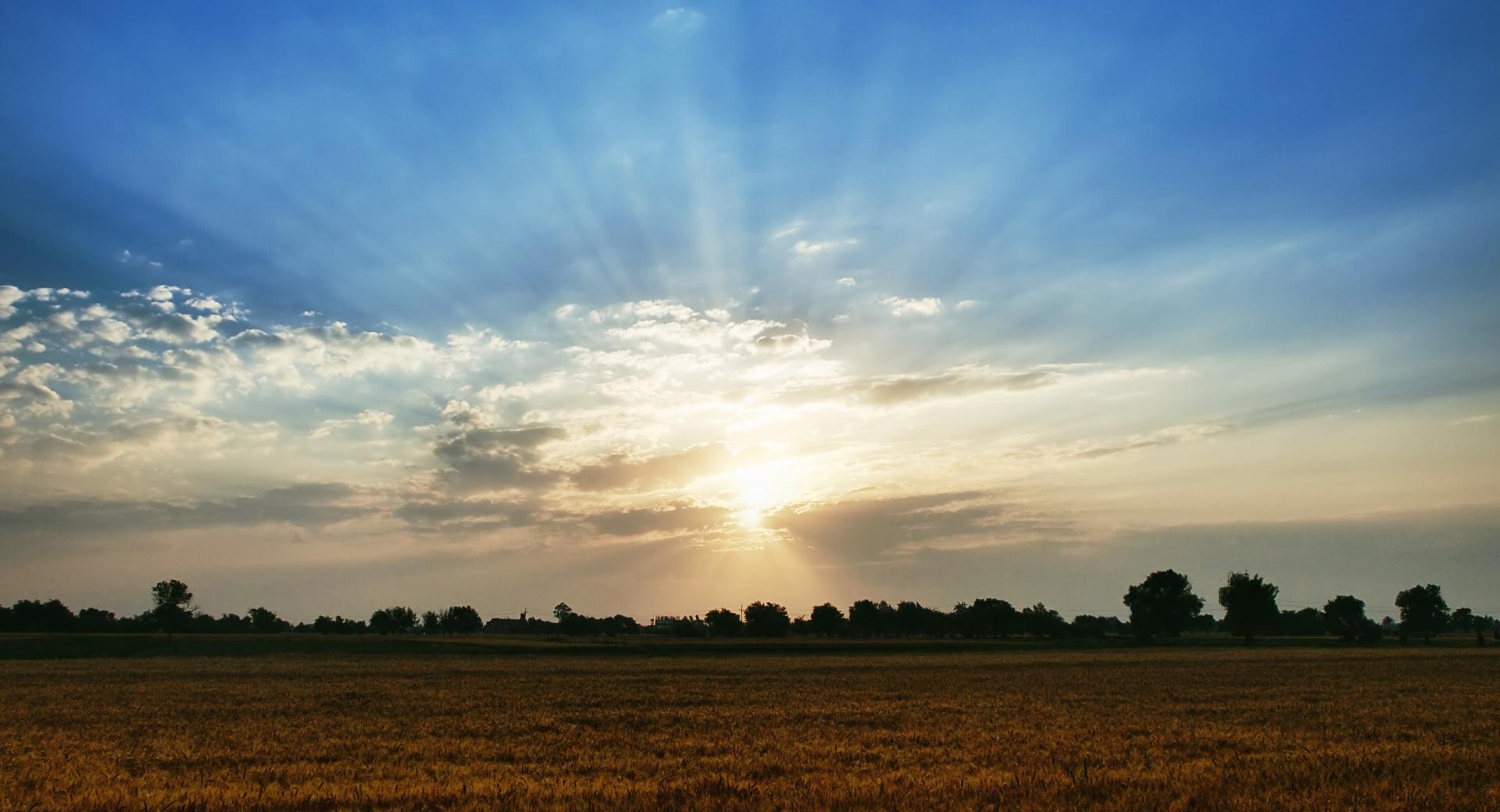 Wheat Field Against Blue Sky at 2048 x 2048 iPad size wallpapers HD quality