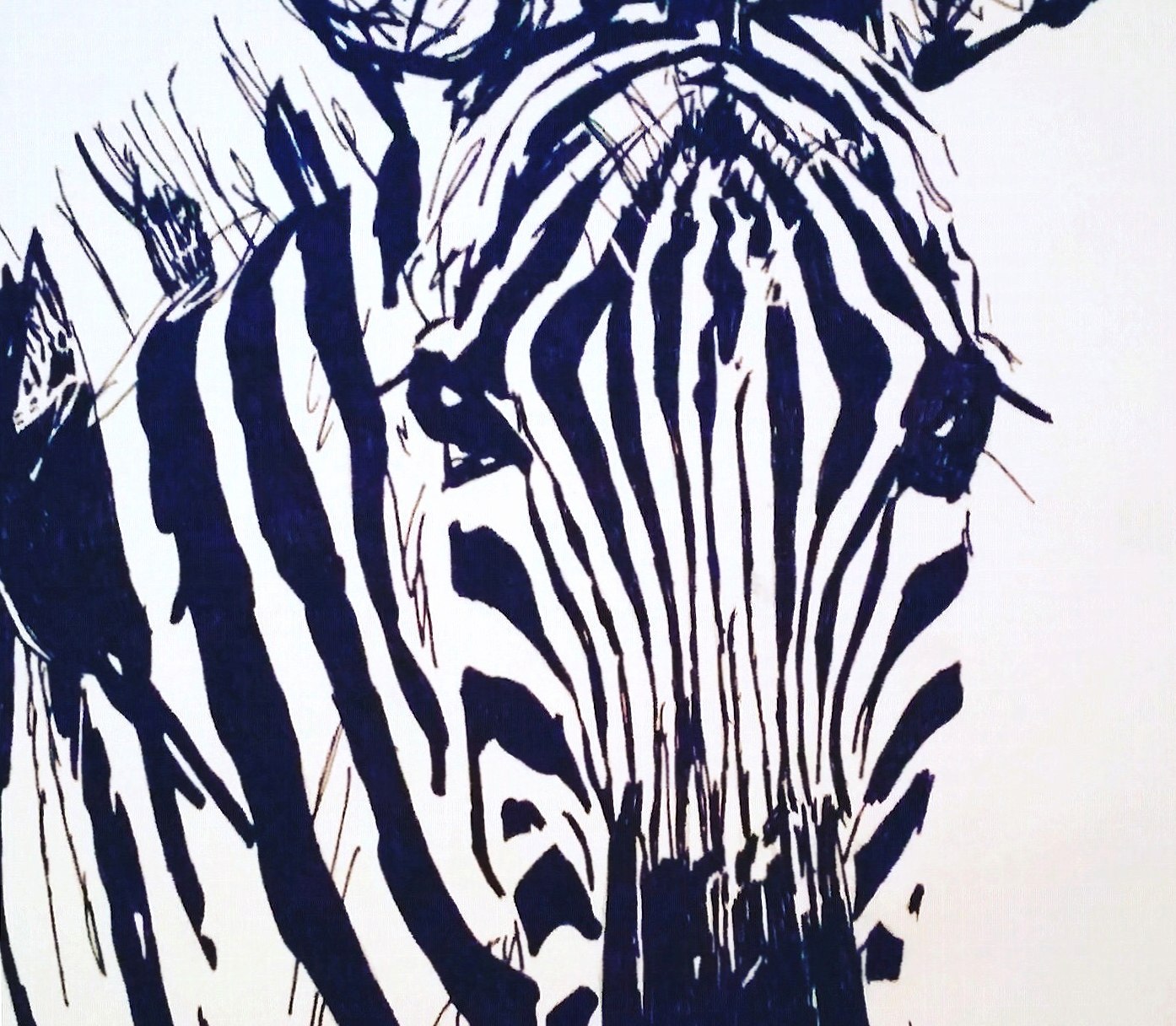 Zebra drawing at 2048 x 2048 iPad size wallpapers HD quality