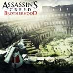 Assassin s Creed Brotherhood widescreen