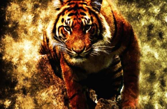 Abstract tiger wallpapers hd quality