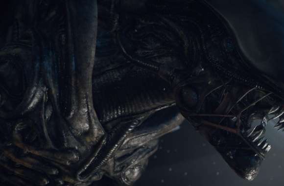 Alien Isolation Game wallpapers hd quality