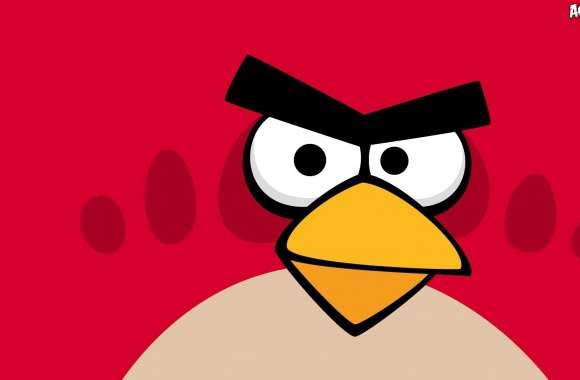 Angry Birds - Red Bird wallpapers hd quality
