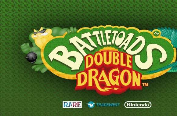 Battletoads and Double Dragon wallpapers hd quality
