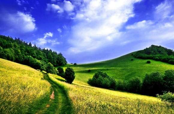 Beautiful Surroundings wallpapers hd quality