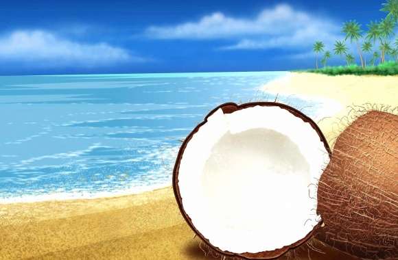 Coconut opened sea beach