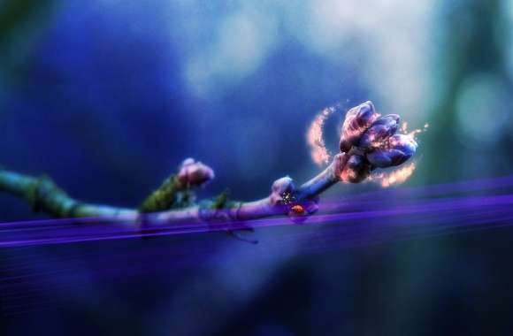 Creative Purple Flowers
