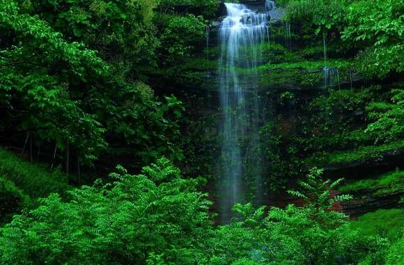 Cute Baby Waterfall