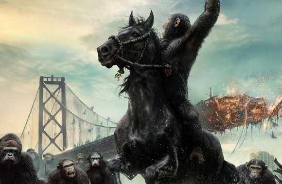 Dawn of the Planet of the Apes 2014 Film