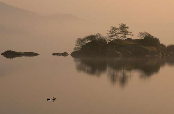 Ducks On Lake