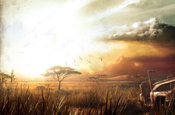 Far Cry 2 Landscape